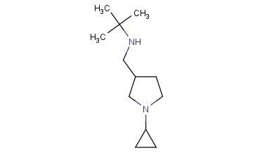 TERT-BUTYL[(1-CYCLOPROPYLPYRROLIDIN-3-YL)METHYL]AMINE