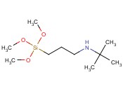 T-BUTYLAMINOPROPYLTRIMETHOXYSILANE