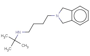 TERT-BUTYL[4-(2,3-DIHYDRO-1H-ISOINDOL-2-YL)BUTYL]AMINE