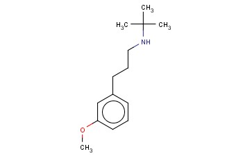 TERT-BUTYL[3-(3-METHOXYPHENYL)PROPYL]AMINE