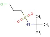 N-叔丁基-3-氯丙烷-1-磺酰胺