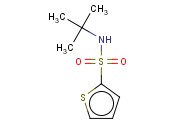 <span class='lighter'>N-TERT-BUTYL-2-THIOPHENESULFONAMIDE</span>