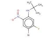 4-溴-N-(<span class='lighter'>叔</span><span class='lighter'>丁基</span>)-5-氟-2-<span class='lighter'>硝基</span>-<span class='lighter'>苯胺</span>