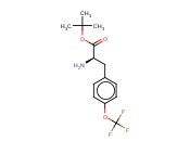 (R)-4-(TRIFLUOROMETHOXYL)PHENYLALANINE T-BUTYL ESTER
