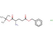 H-<span class='lighter'>Glu</span>(<span class='lighter'>OtBu</span>)-OBzl稨Cl