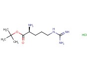 <span class='lighter'>L-</span>精氨酸叔丁<span class='lighter'>酯</span>