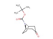 N-(<span class='lighter'>叔</span><span class='lighter'>丁</span><span class='lighter'>氧</span><span class='lighter'>羰基</span>)去甲托品酮