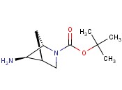 2-AZABICYCLO[2.1.1]HEXANE-2-CARBOXYLIC ACID, 5-AMINO-, 1,1-DIMETHYLETHYL ESTER, (1S,4S,5R)-