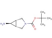 EXO-6-<span class='lighter'>AMINO</span>-3-BOC-3-AZABICYCLO[3.1.0]<span class='lighter'>HEXANE</span>