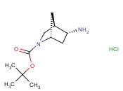 (1R,4R,5R)-REL-5-AMINO-2-AZABICYCLO[2.2.1]HEPTANE-2-CARBOXYLIC ACID TERT-BUTYL ESTER HYDROCHLORIDE