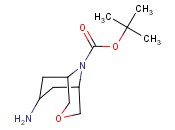 ENDO-7-AMINO-9-BOC-3-OXA-9-AZA-BICYCLO[3.3.1]NONANE