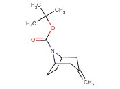 3-METHYLENE-8-BOC-8-AZABICYCLO[3.2.1]OCTANE