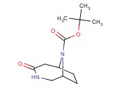 9-BOC-4-OXO-3,9-<span class='lighter'>DIAZA-BICYCLO</span>[4.2.1]NONANE
