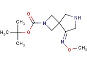 2,6-<span class='lighter'>二</span>氮杂螺[3.4]辛烷-2-<span class='lighter'>羧酸</span>酸，8-(<span class='lighter'>甲</span>氧基亚氨基）-1,1-<span class='lighter'>二甲</span>基乙基<span class='lighter'>酯</span>