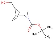 <span class='lighter'>1-BOC-3-AZABICYCLO</span>[<span class='lighter'>3.2.1</span>]<span class='lighter'>OCTANE-8-METHANOL</span>