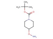 TERT-BUTYL 4-(AMINOOXY)PIPERIDINE-1-CARBOXYLATE