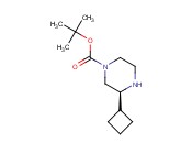 (S)-3-CYCLOBUTYL-PIPERAZINE-1-CARBOXYLIC ACID TERT-BUTYL ESTER