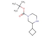 3-CYCLOBUTYL-PIPERAZINE-1-CARBOXYLIC ACID TERT-BUTYL ESTER
