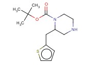 2-THIOPHEN-2-YLMETHYL-PIPERAZINE-1-CARBOXYLIC ACID TERT-BUTYL ESTER