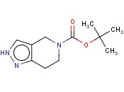 tert-Butyl 6,7-dihydro-2H-pyrazolo[4,3-c]pyridine-5(4H)-carboxylate