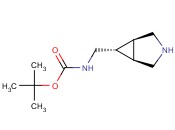 EXO-6-(BOC-<span class='lighter'>AMINO</span>METHYL)-3-AZABICYCLO[3.1.0]HEXANE