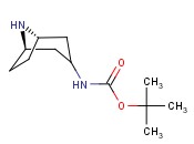 <span class='lighter'>TERT-BUTYL</span> 8-AZA-BICYCLO[3.2.1]OCTAN-3-YLCARBAMATE