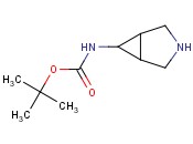 (3-氮杂双环[3.1.0]-6-己基)-氨基甲酸叔丁酯