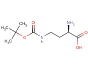 H-D-DAB(BOC)-OH