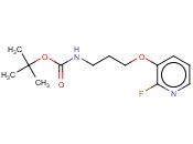 [3-(2-FLUOROPYRIDIN-3-YLOXY)PROPYL]-CARBAMIC ACID TERT-BUTYL ESTER