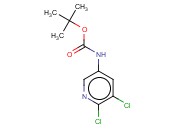 5,6-二<span class='lighter'>氯</span><span class='lighter'>吡啶</span>-3-氨基<span class='lighter'>甲酸</span>叔丁酯
