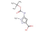 5-CARBO-TERT-BUTOXYAMINO-1-METHYLPYRAZOLE-3-CARBOXYLIC ACID