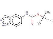 5-BOC-<span class='lighter'>氨基</span><span class='lighter'>吲哚</span>