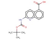 2-TERT-BUTOXYCARBONYLAMINO-QUINOLINE-5-CARBOXYLIC ACID
