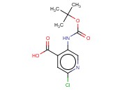 5-Boc-氨基-2-<span class='lighter'>氯</span><span class='lighter'>吡啶</span>-4-<span class='lighter'>甲酸</span>