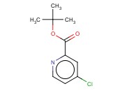4-CHLOROPYRIDINE-2-CARBOXYLIC ACID TERT-BUTYL ESTER