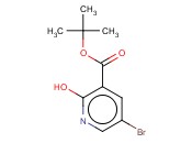 5-BROMO-2-HYDROXY-NICOTINIC ACID T-BUTYL ESTER