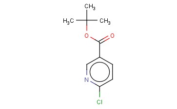 6-<span class='lighter'>氯</span><span class='lighter'>烟酸</span>叔丁酯