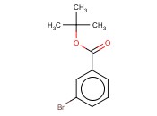 tert-Butyl <span class='lighter'>3-Bromobenzoate</span>