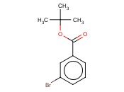 3-<span class='lighter'>溴</span><span class='lighter'>苯甲酸</span>叔丁酯