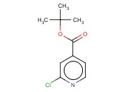 2-氯异烟酸<span class='lighter'>叔</span><span class='lighter'>丁</span>酯