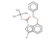 7-BENZYLOXY-3-<span class='lighter'>BROMOINDOLE</span>-1-CARBOXYLIC ACID TERT-BUTYL ESTER