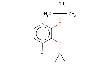 4-BROMO-2-TERT-BUTOXY-3-CYCLOPROPOXYPYRIDINE