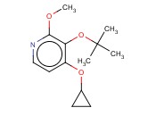 <span class='lighter'>3-TERT-BUTOXY-4-CYCLOPROPOXY-2-METHOXYPYRIDINE</span>
