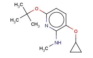6-TERT-BUTOXY-3-CYCLOPROPOXY-N-METHYLPYRIDIN-2-AMINE