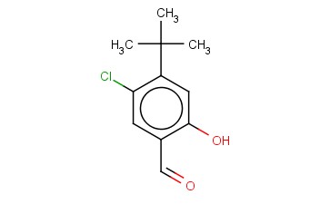 4-叔丁基-5-<span class='lighter'>氯</span>-2-<span class='lighter'>羟基</span><span class='lighter'>苯</span><span class='lighter'>甲醛</span>