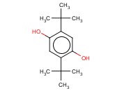 2,5-<span class='lighter'>二叔</span>丁基对苯<span class='lighter'>二</span>酚