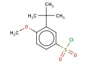 3-TERT-BUTYL-4-<span class='lighter'>METHOXY</span>-BENZENESULFONYL CHLORIDE