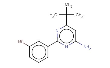 2-(3-BROMOPHENYL)-6-TERT-BUTYLPYRIMIDIN-4-AMINE