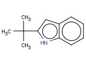 <span class='lighter'>2-TERT-BUTYL-1H-INDOLE</span>