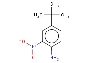 4-(<span class='lighter'>TERT-BUTYL</span>)-2-NITROANILINE